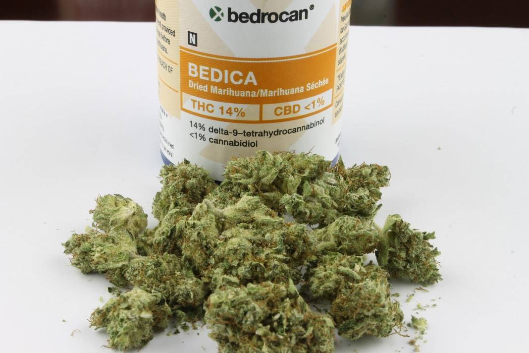 Cannabis Terapeutica Bedrocan