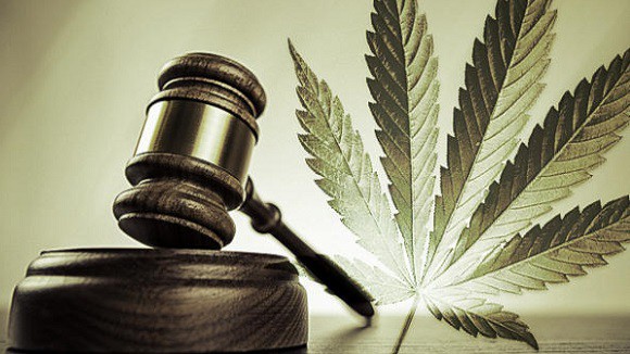 cannabis legale in america