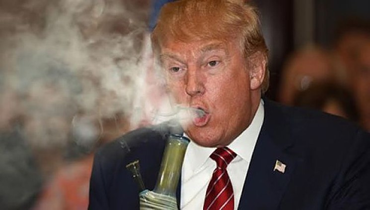 trump marijuana