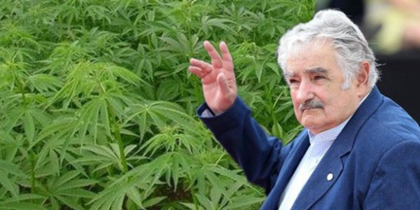 mujica uruguay marijuana legalizzazione