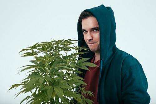 marijuana per uso personale