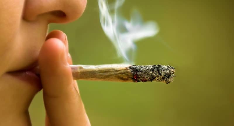 quanto rimane in circolo il thc?