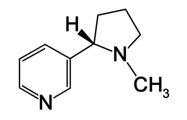Nicotina formula chimica