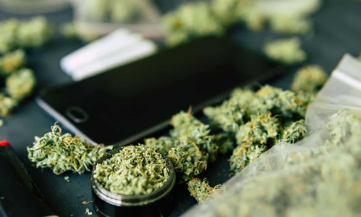 cannabis app migliori per smartphone