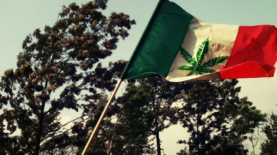 messico legalizzazione cannabis