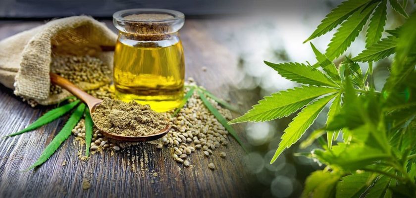 olio di oliva alla cannabis