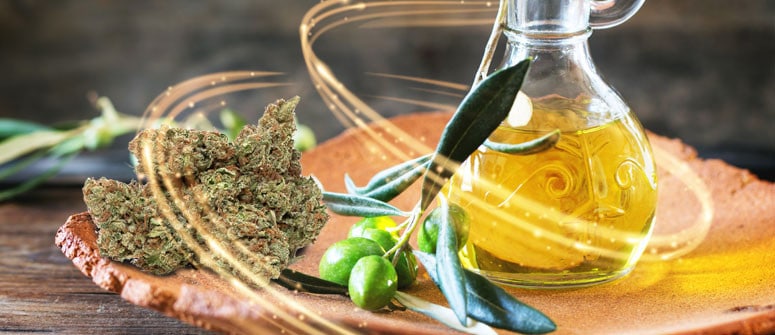 olio oliva e marijuana