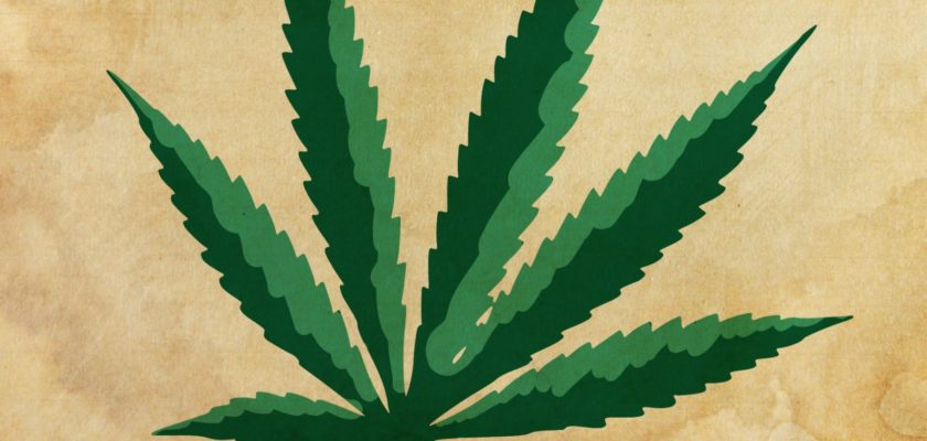 cannabis light governo