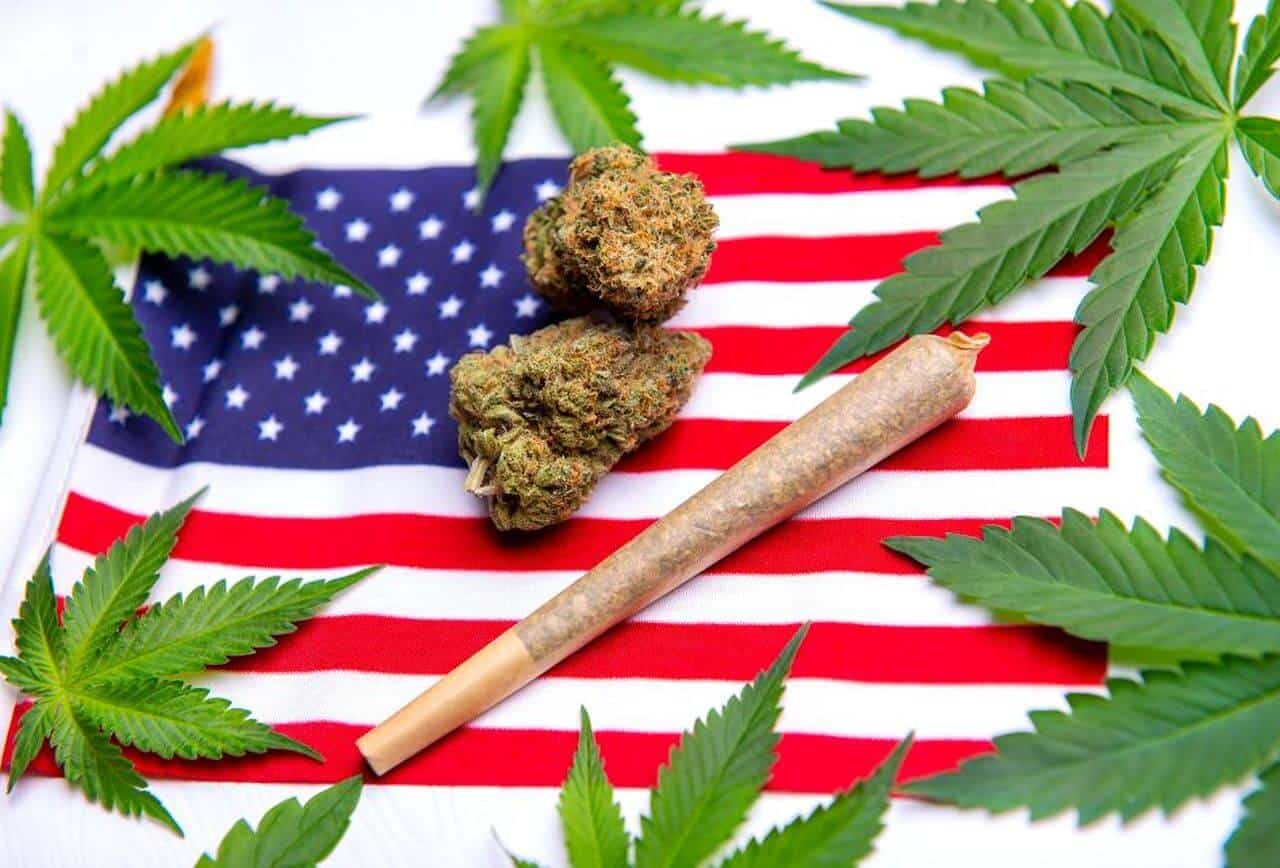 cannabis USA covid-19