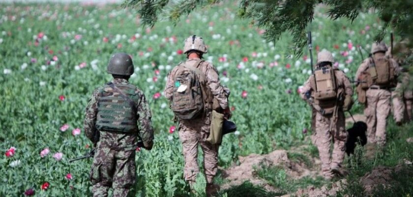 droga afghanistan