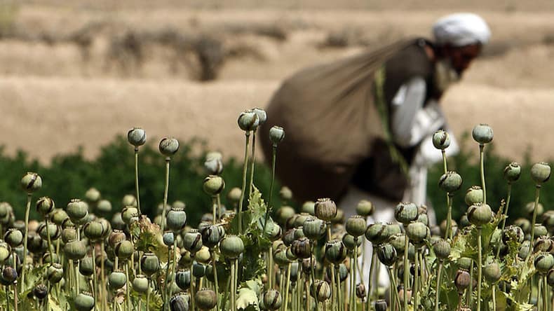 guerra droga afghanistan usa