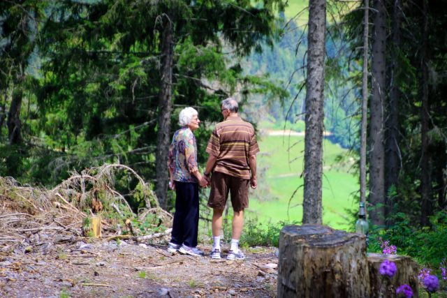 due anziani che si tengono la mano in un bosco
