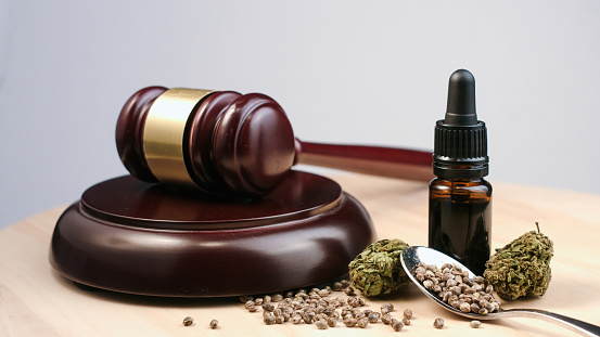 martello giudice con cannabis, semi di cannabis e olio di cannabis